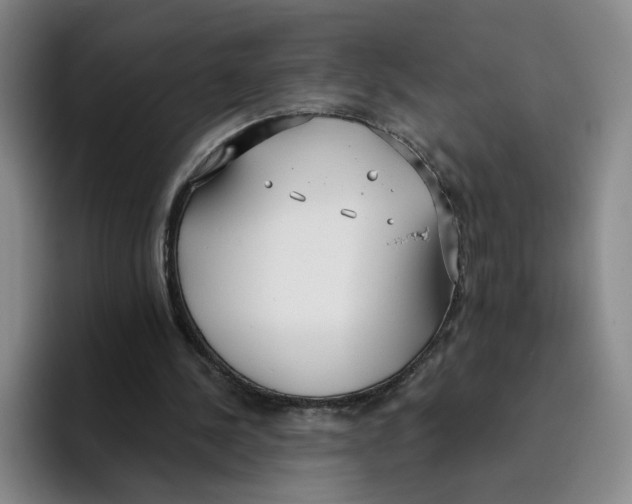 X0000096150244200802151400