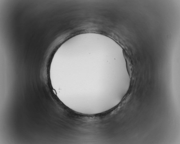 X0000096150245200802151400