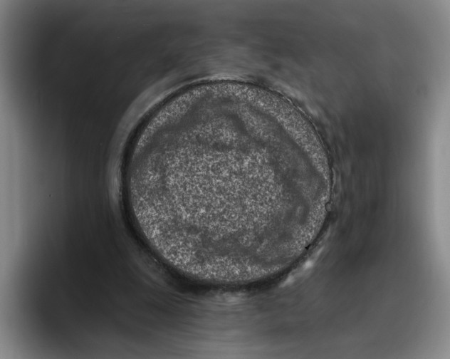 X0000096150247200802151400