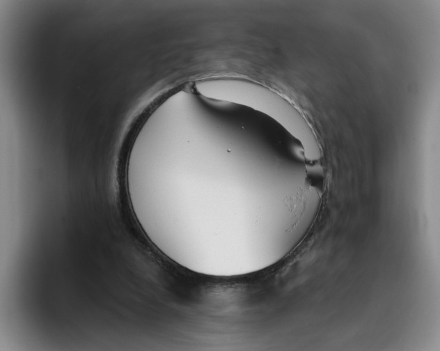 X0000096150248200802151400