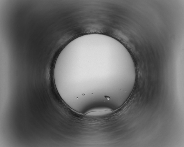 X0000096150250200802151400