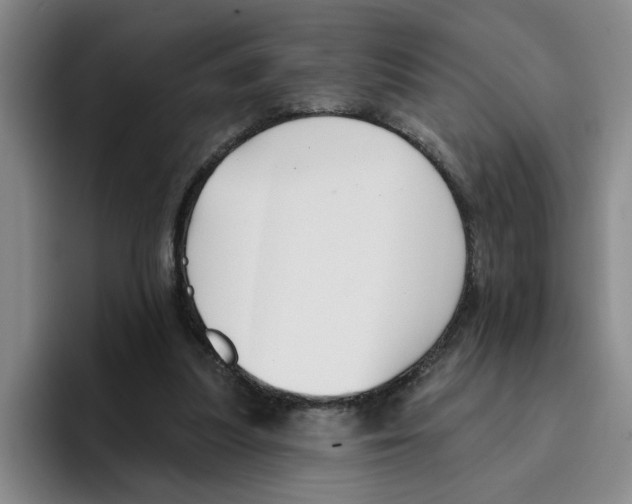 X0000096150251200802151400