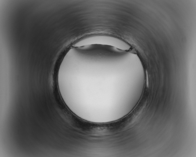 X0000096150252200802151400