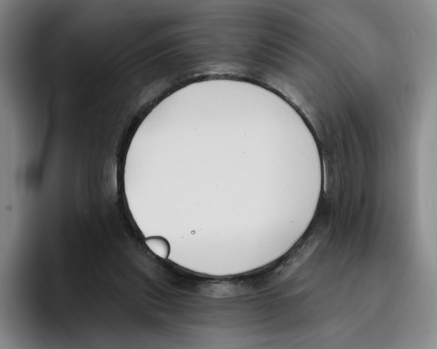 X0000096150253200802151400