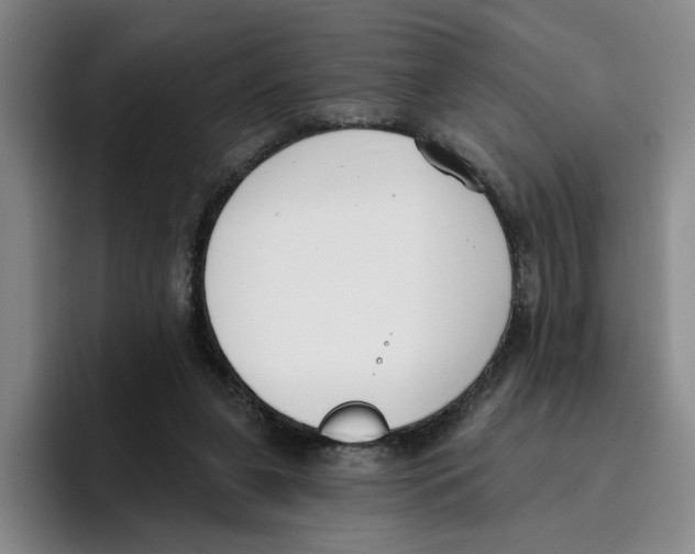 X0000096150255200802151400