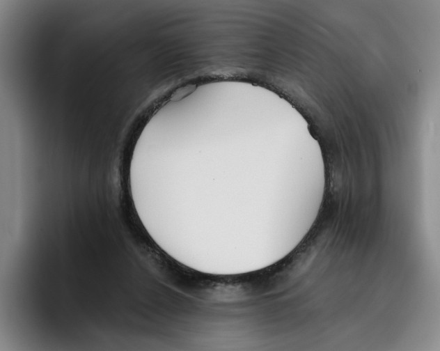 X0000096150256200802151400