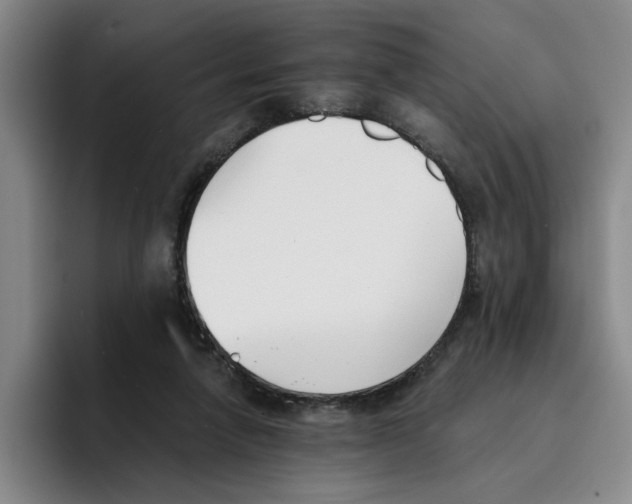 X0000096150258200802151400