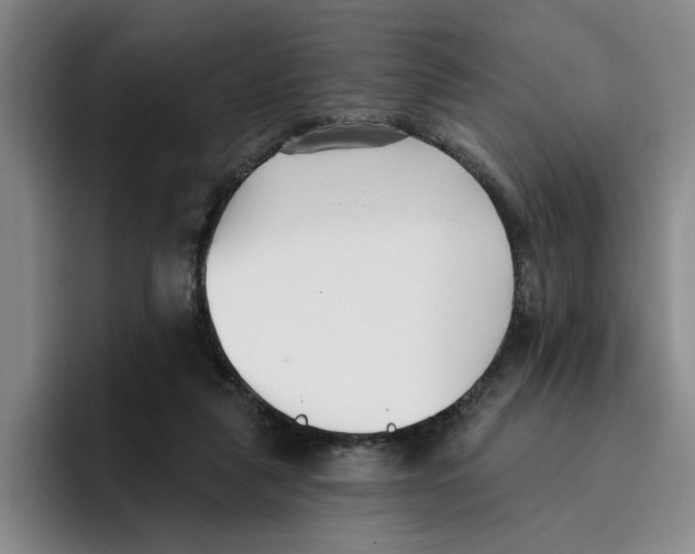 X0000096150259200802151400