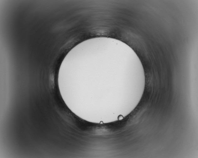 X0000096150262200802151400