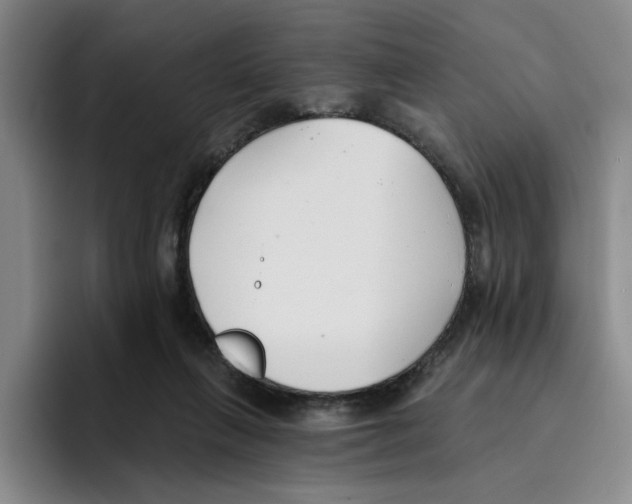 X0000096150263200802151400