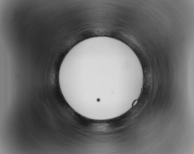 X0000096150266200802151400