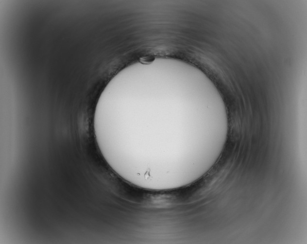 X0000096150268200802151400