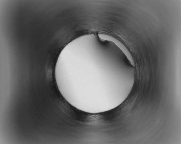 X0000096150269200802151400