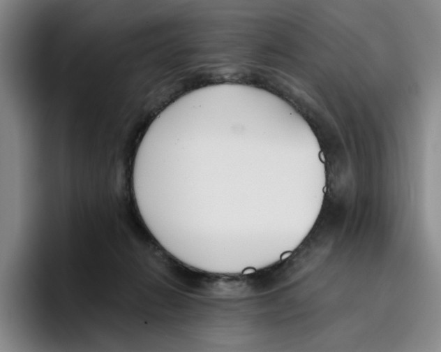 X0000096150270200802151400