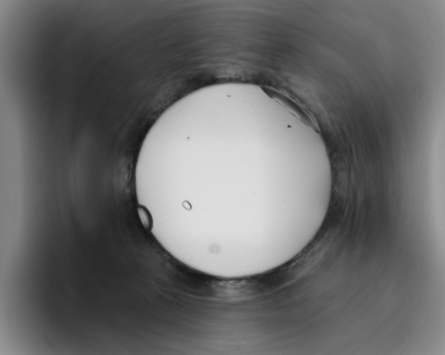 X0000096150273200802151400