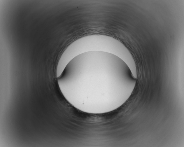 X0000096150276200802151400