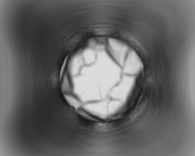 X0000096150277200802151400