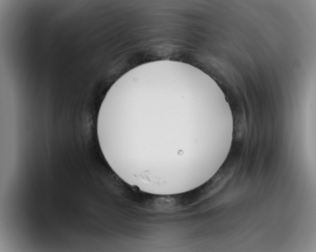 X0000096150279200802151400