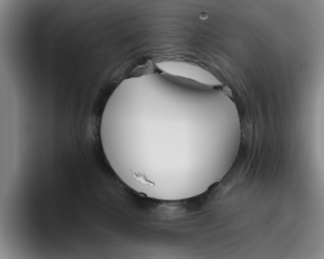 X0000096150280200802151400