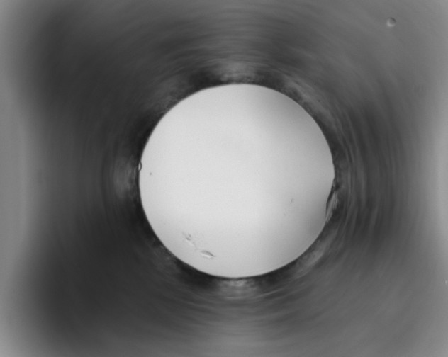 X0000096150281200802151400