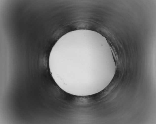 X0000096150282200802151400