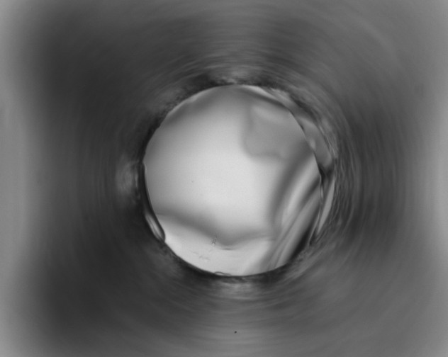 X0000096150284200802151400