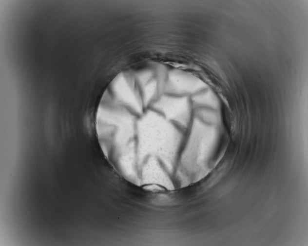 X0000096150285200802151400