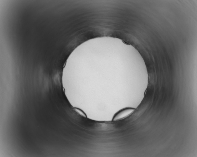 X0000096150286200802151400