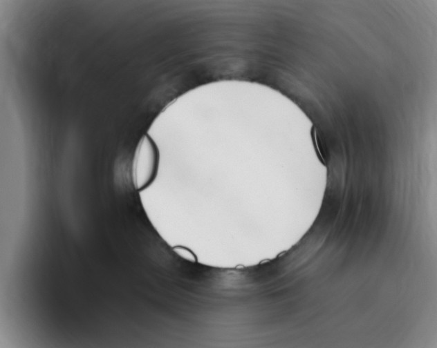 X0000096150287200802151400