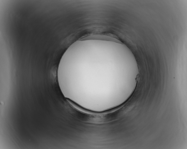 X0000096150288200802151400