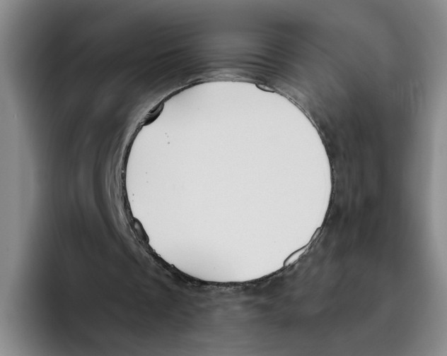 X0000096150289200802151400