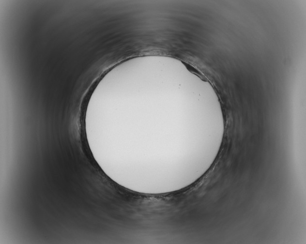 X0000096150290200802151400