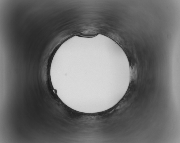 X0000096150291200802151400