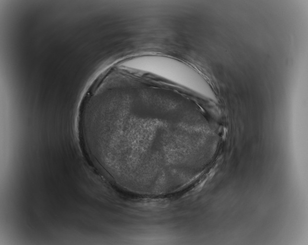 X0000096150292200802151400