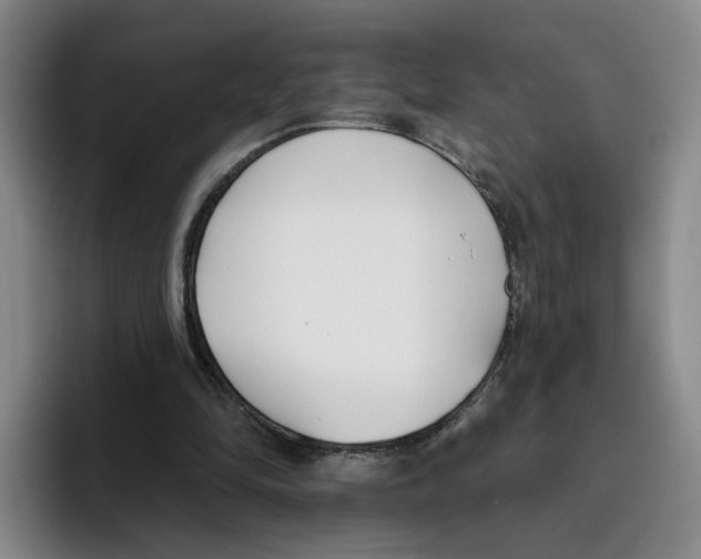 X0000096150294200802151400