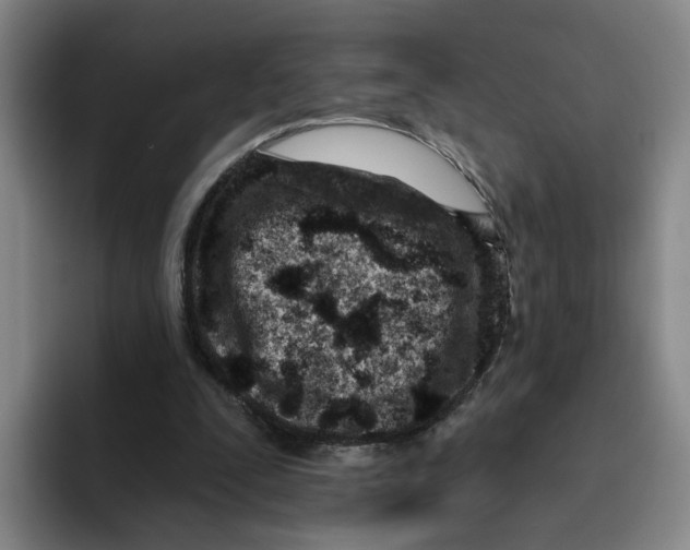 X0000096150295200802151400