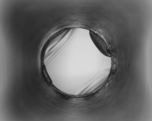 X0000096150296200802151400