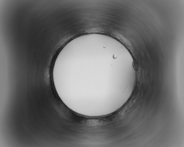 X0000096150298200802151400