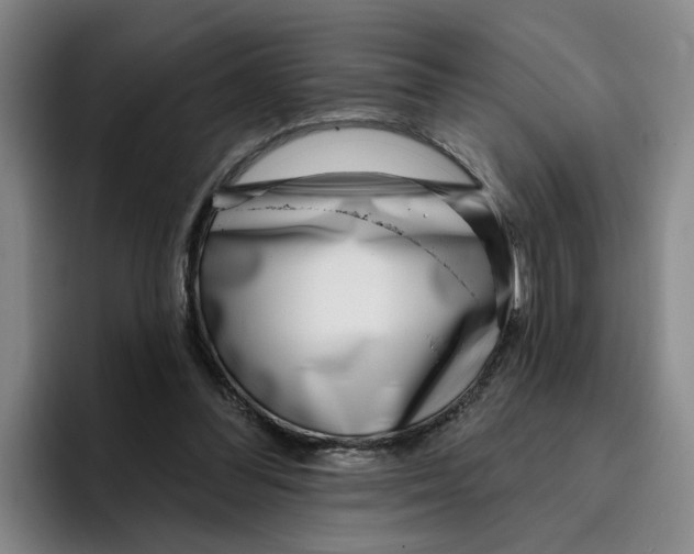 X0000096150300200802151400