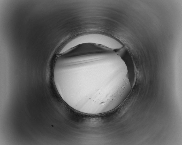 X0000096150304200802151400