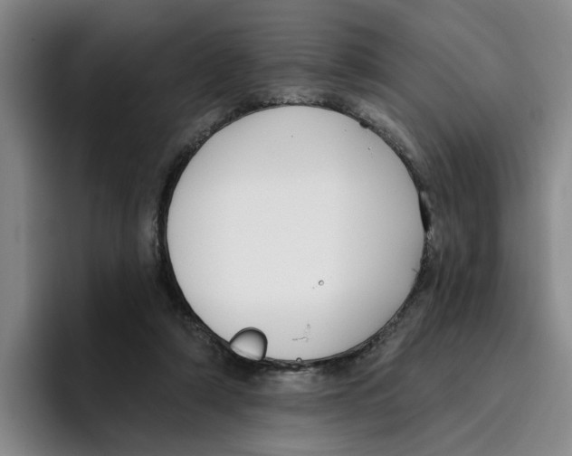 X0000096150306200802151400