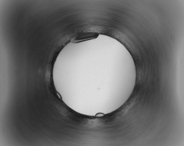 X0000096150309200802151400