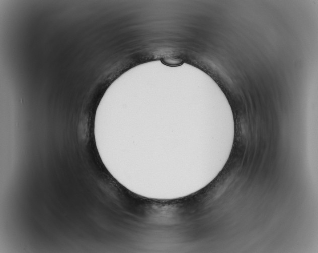 X0000096150311200802151400