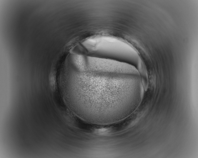 X0000096150312200802151400