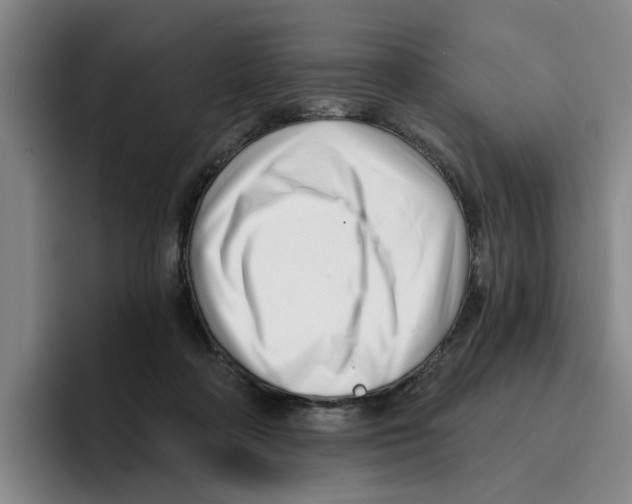 X0000096150314200802151359