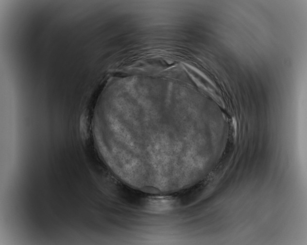 X0000096150316200802151359