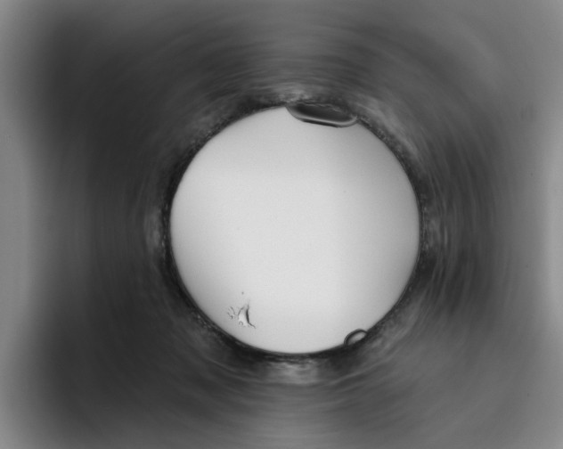 X0000096150317200802151359