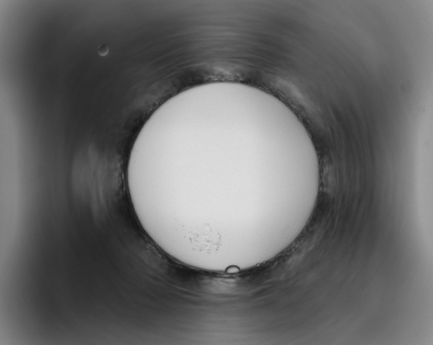 X0000096150318200802151359