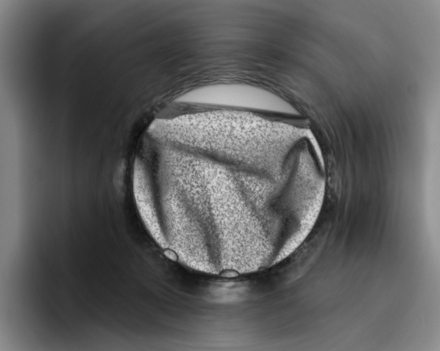 X0000096150319200802151359