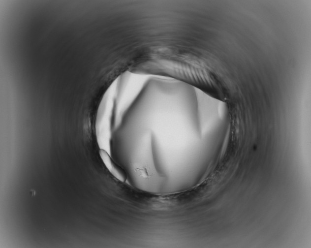 X0000096150320200802151359